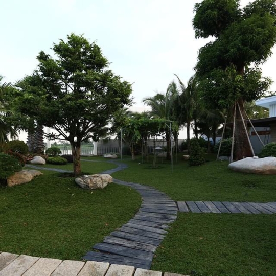 Thi công ốp đá nội thất và sân vườn