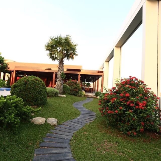 Thi công ốp đá nội thất và sân vườn