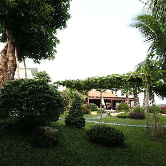 Thi công ốp đá nội thất và sân vườn