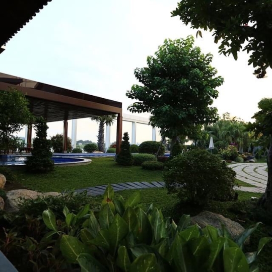 Thi công ốp đá nội thất và sân vườn